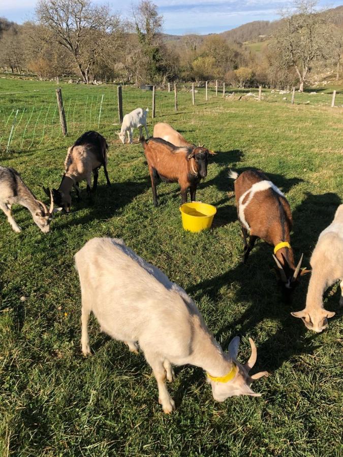 Gite A La Ferme Montesquieu-Avantes Dış mekan fotoğraf